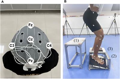 Effects of transcranial direct current stimulation combined with Bosu ball training on the injury potential during drop landing in people with chronic ankle instability